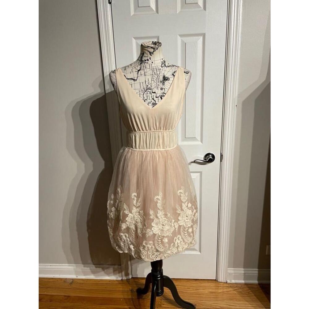 Pinky Lace Embroidery Floral Tulle Vintage Ballet Tutu overlay coquette cottage